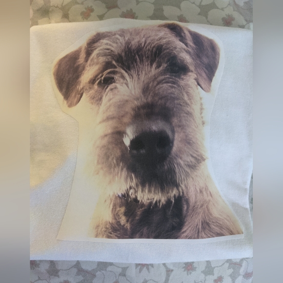 Fundraiser Tshirt #puppy #browniedog #fairygodmothersdog tshirt - Picture 2 of 3